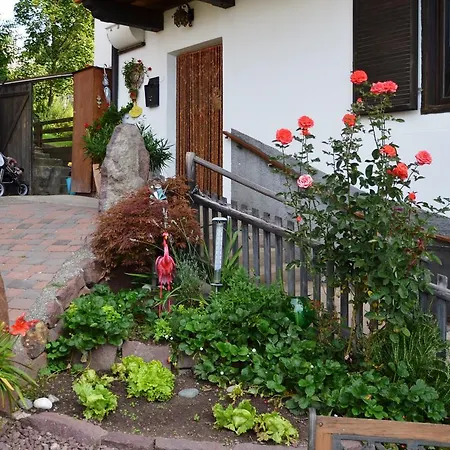 Garni Reider Hotel Meltina